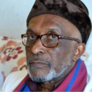 Salim H. Himidi