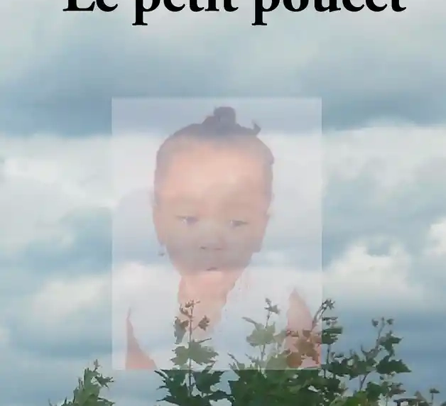 Le petit poucet